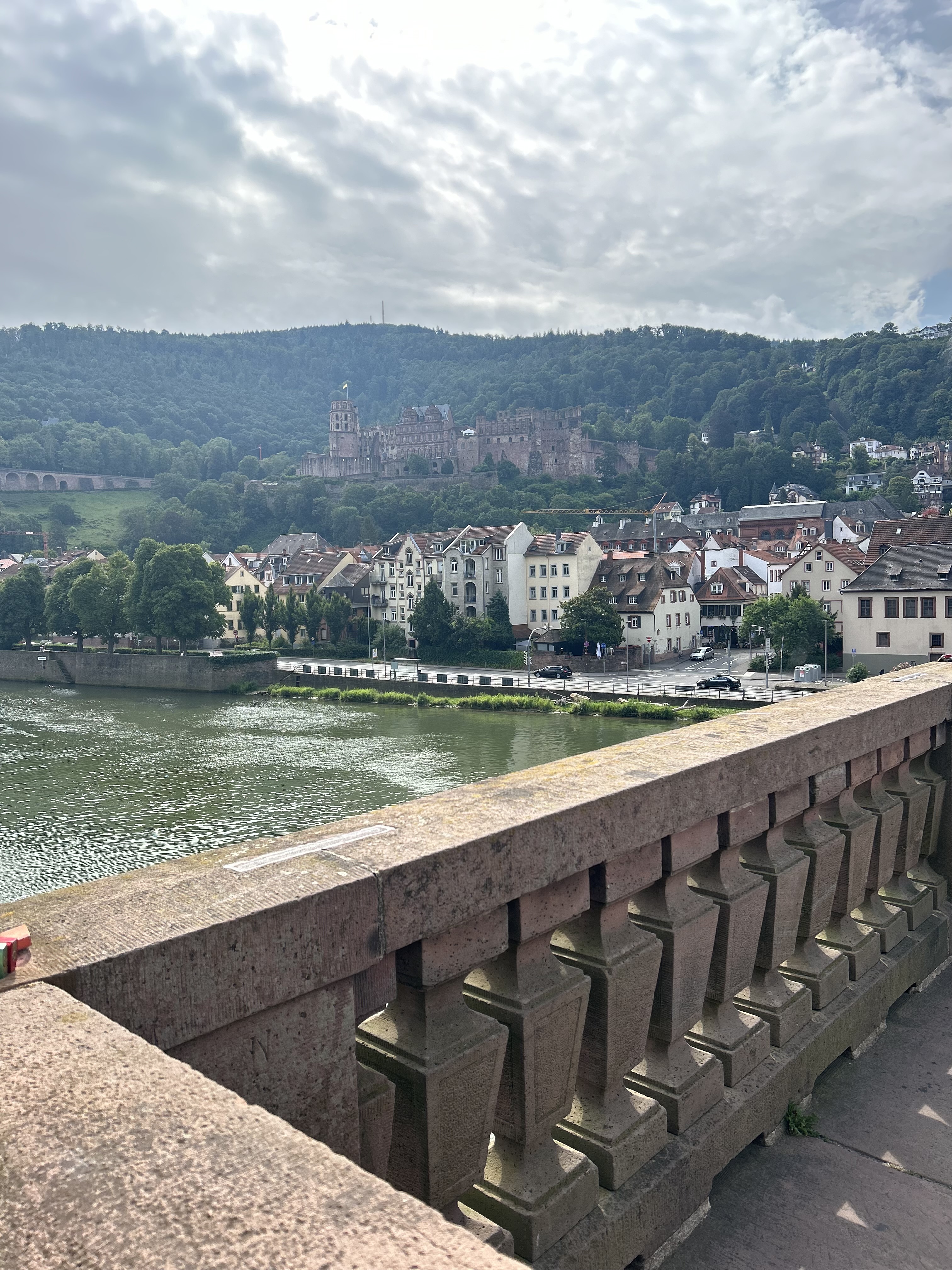 Fußballverein, Alte Brücke, Fototermin, Heidelberger Schloss