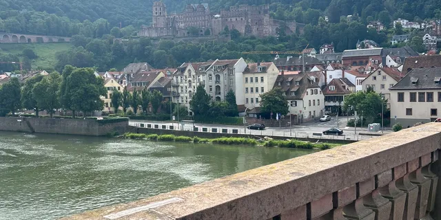 Fußballverein, Alte Brücke, Fototermin, Heidelberger Schloss