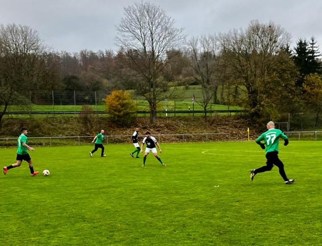 fussball fußball rasen spieler ball